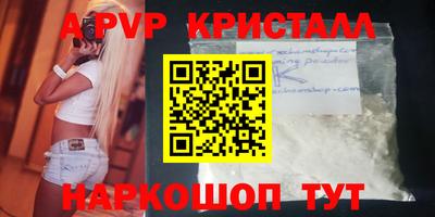 прущие грибы Гудермес