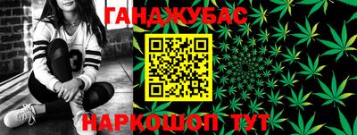 прущие грибы Гудермес