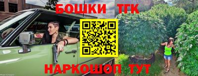 прущие грибы Гудермес