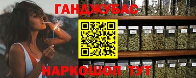 прущие грибы Гудермес